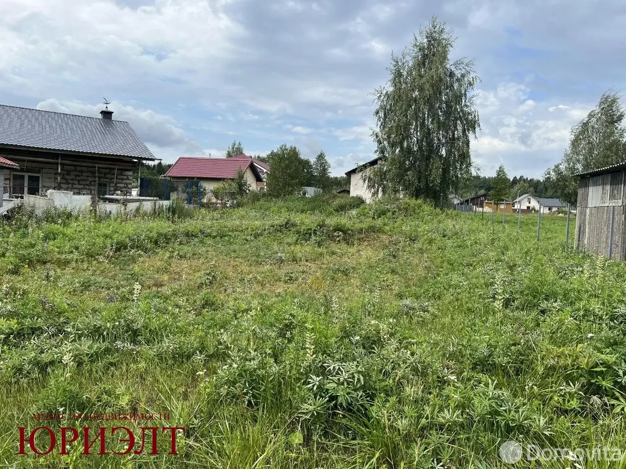 участок, Птичь-2, 