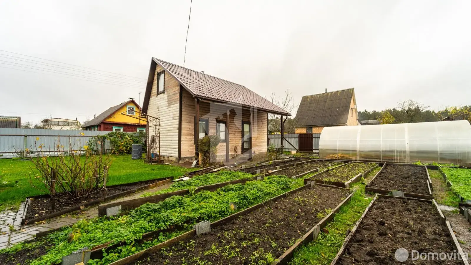 дача, Шарик,