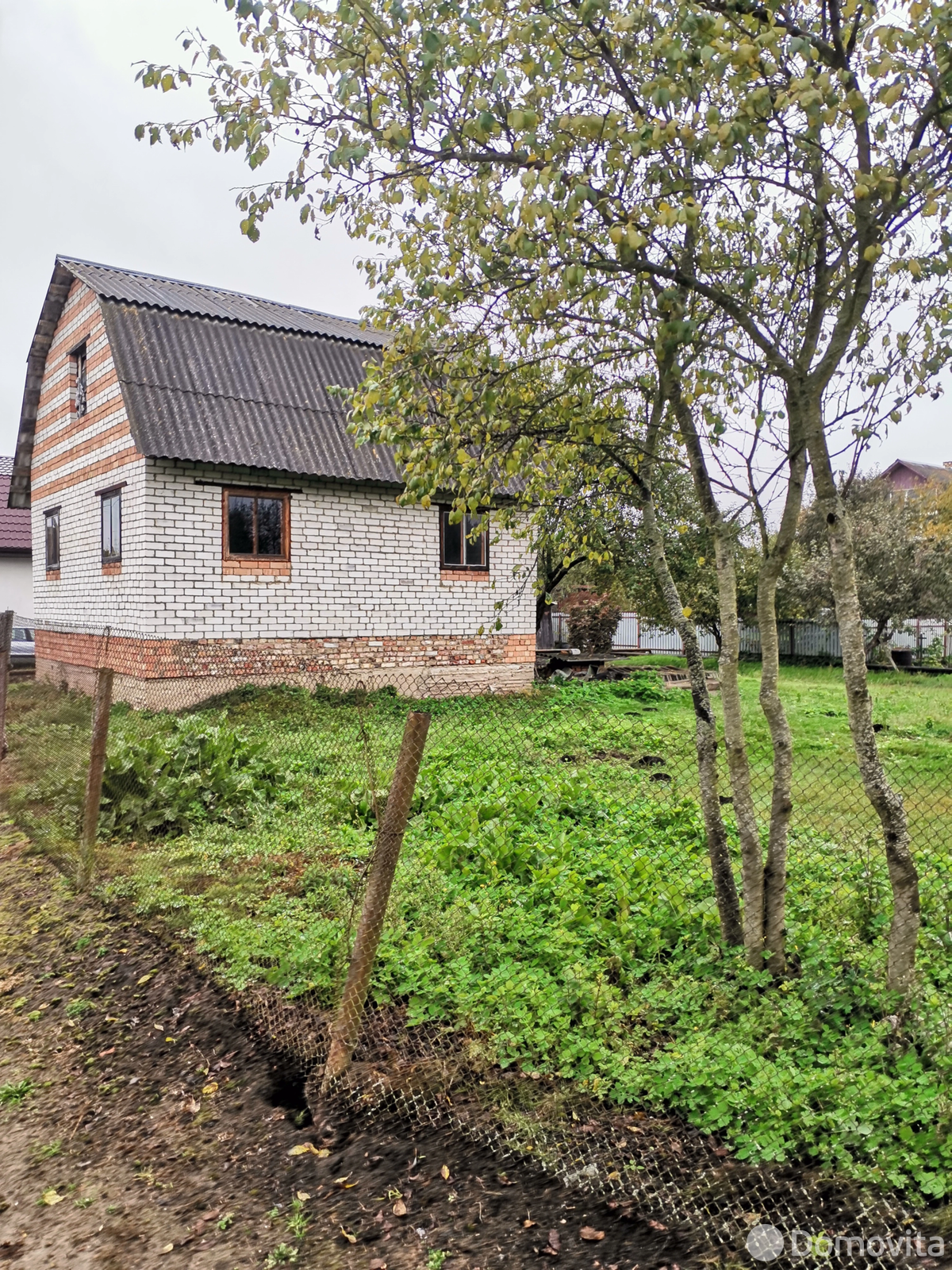 Купить 1-этажную дачу в Кривополье Минская область, 7000USD, код 185836 - фото 11
