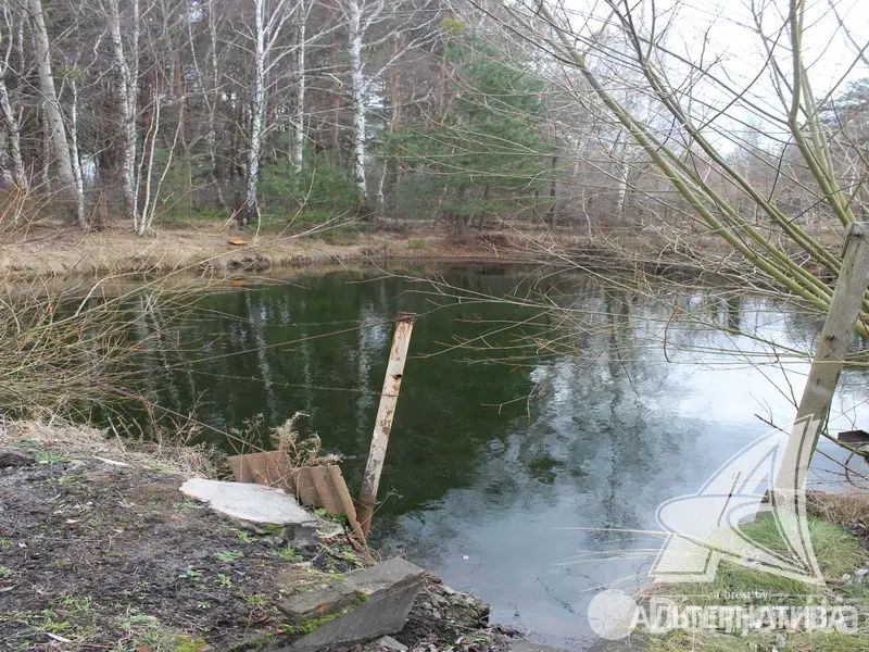 Продажа 2-этажной дачи в Здоровье 2008 Брестская область, 17000USD, код 181271 - фото 19