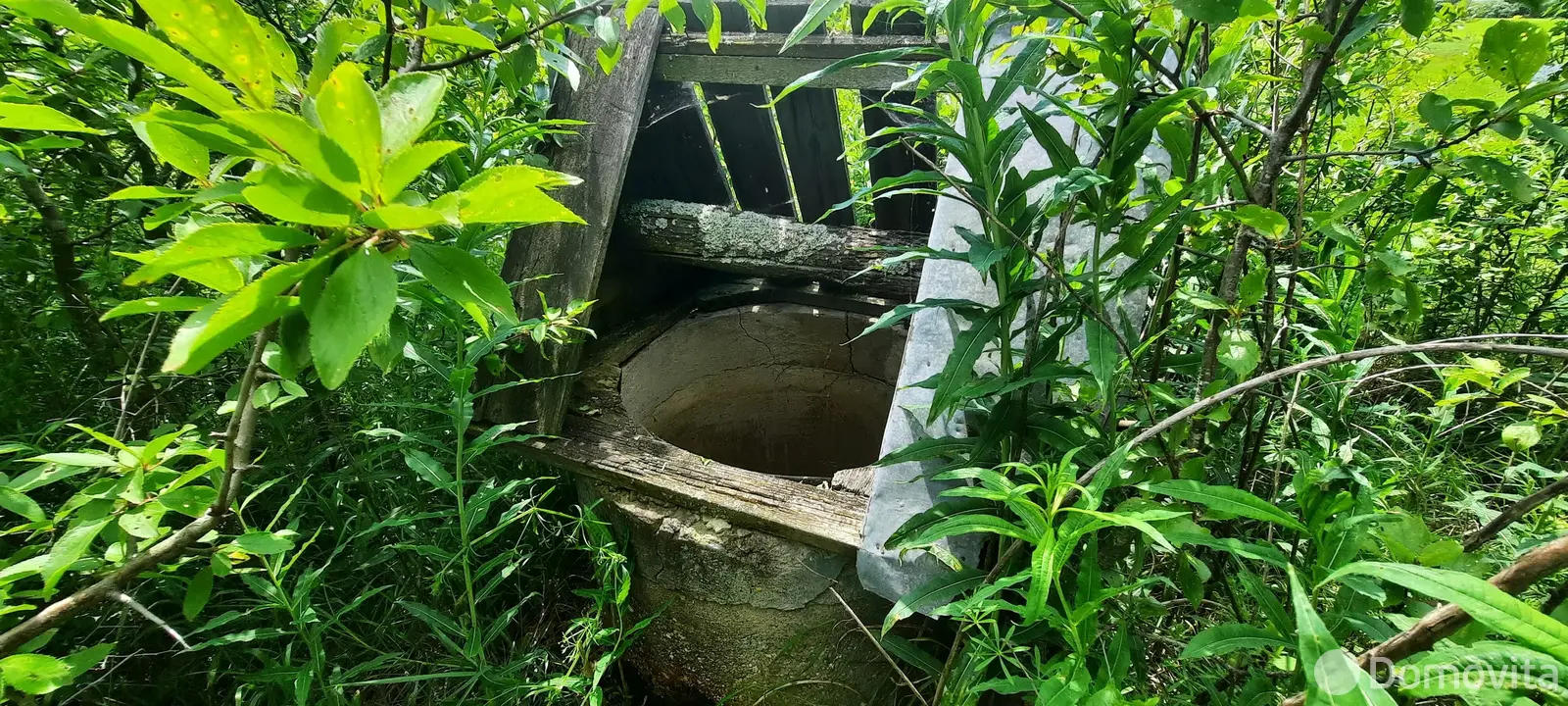 Купить земельный участок, 25 соток, Телядовичи, Минская область, 4000USD, код 570698 - фото 13