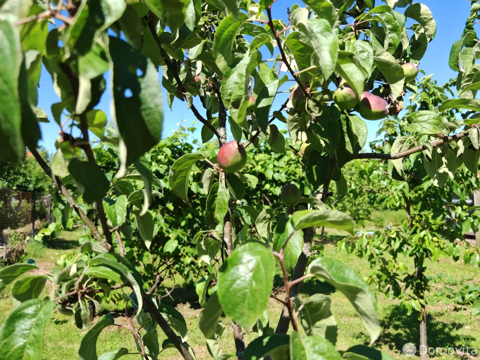 Купить 2-этажную дачу в Лесное-90 Минская область, 39000USD, код 183461 - фото 21