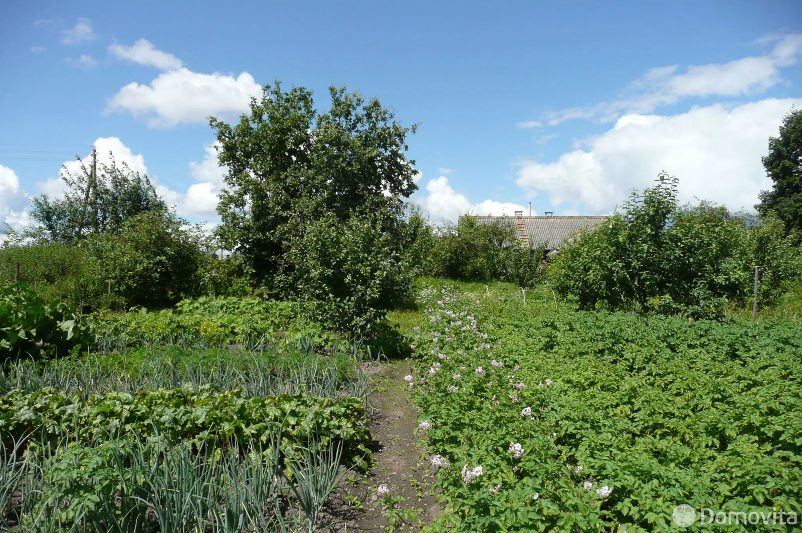 дом, Стаи, ул. Лепельская - лучшее предложение