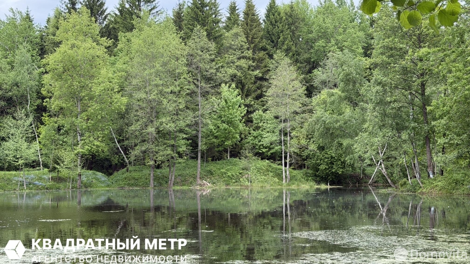 Продажа 1-этажной дачи в Зенитчик Минская область, 47000BYN, код 185949 - фото 14
