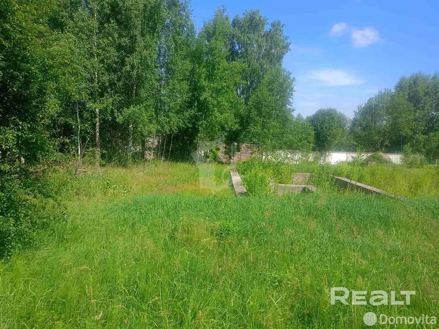 Купить земельный участок, 25 соток, Суринты, Минская область, 56563BYN, код 572428 - фото 14