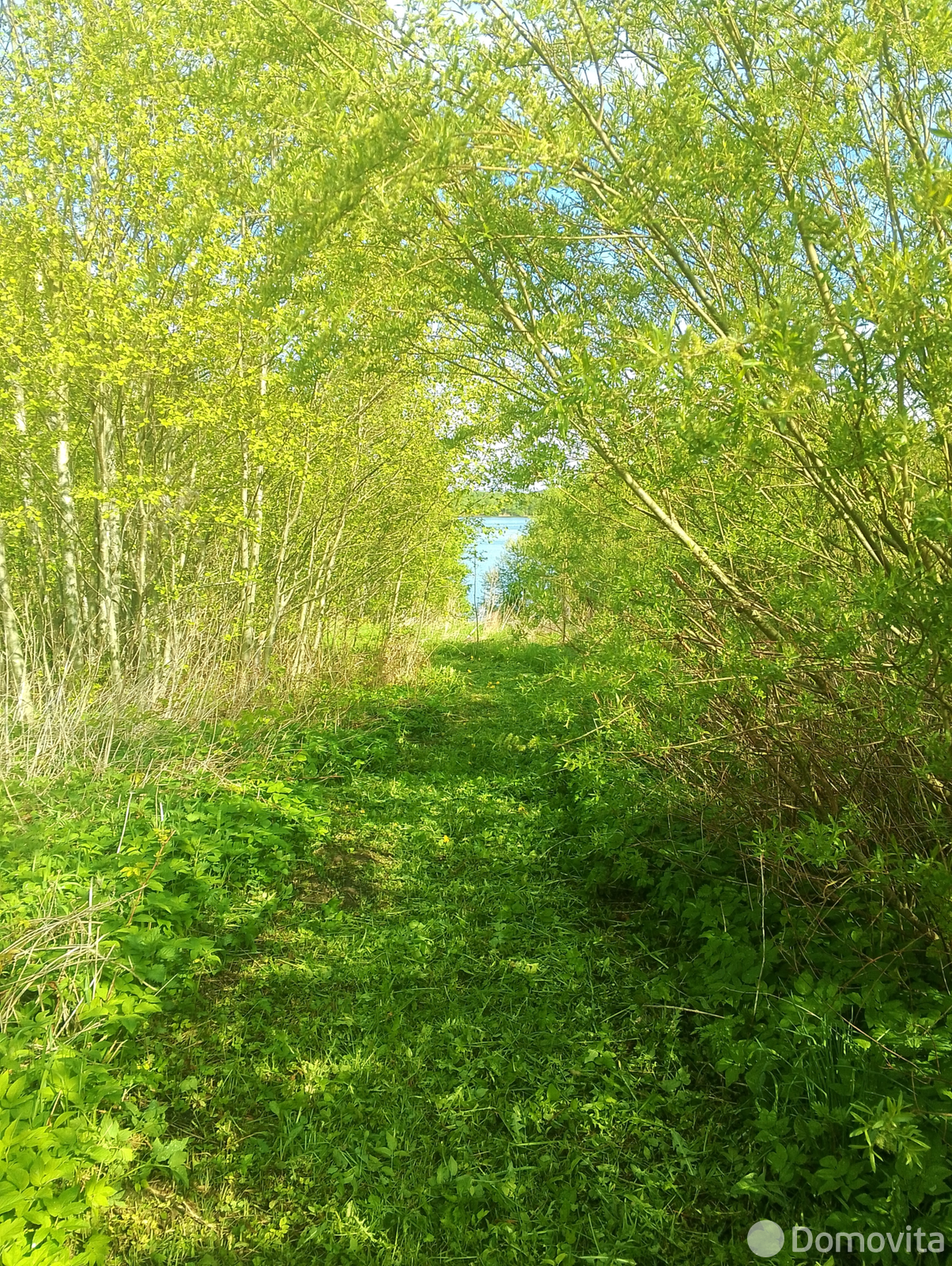 Продажа 1-этажной дачи в Старом Лепель Витебская область, 35000USD, код 182728 - фото 21