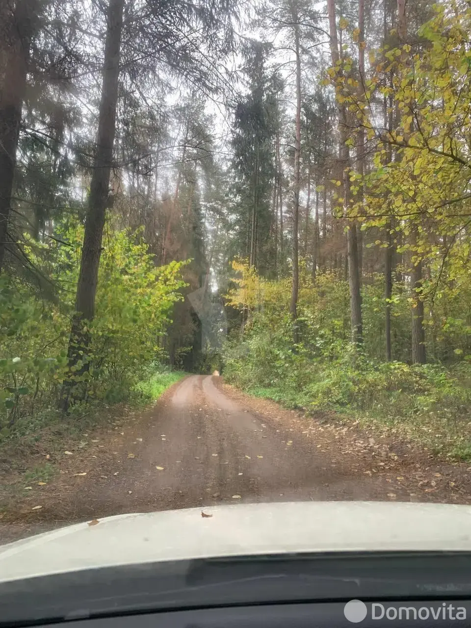 Купить 1-этажную дачу в Ясно солнце Пуховичский район Минская область, 10500USD, код 184340 - фото 27