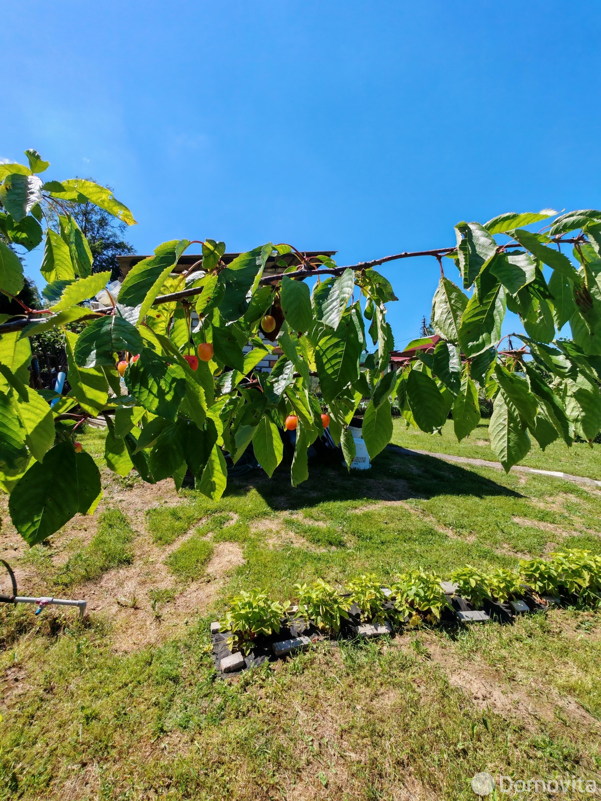 Купить 2-этажную дачу в Лесное-90 Минская область, 35000USD, код 185146 - фото 27
