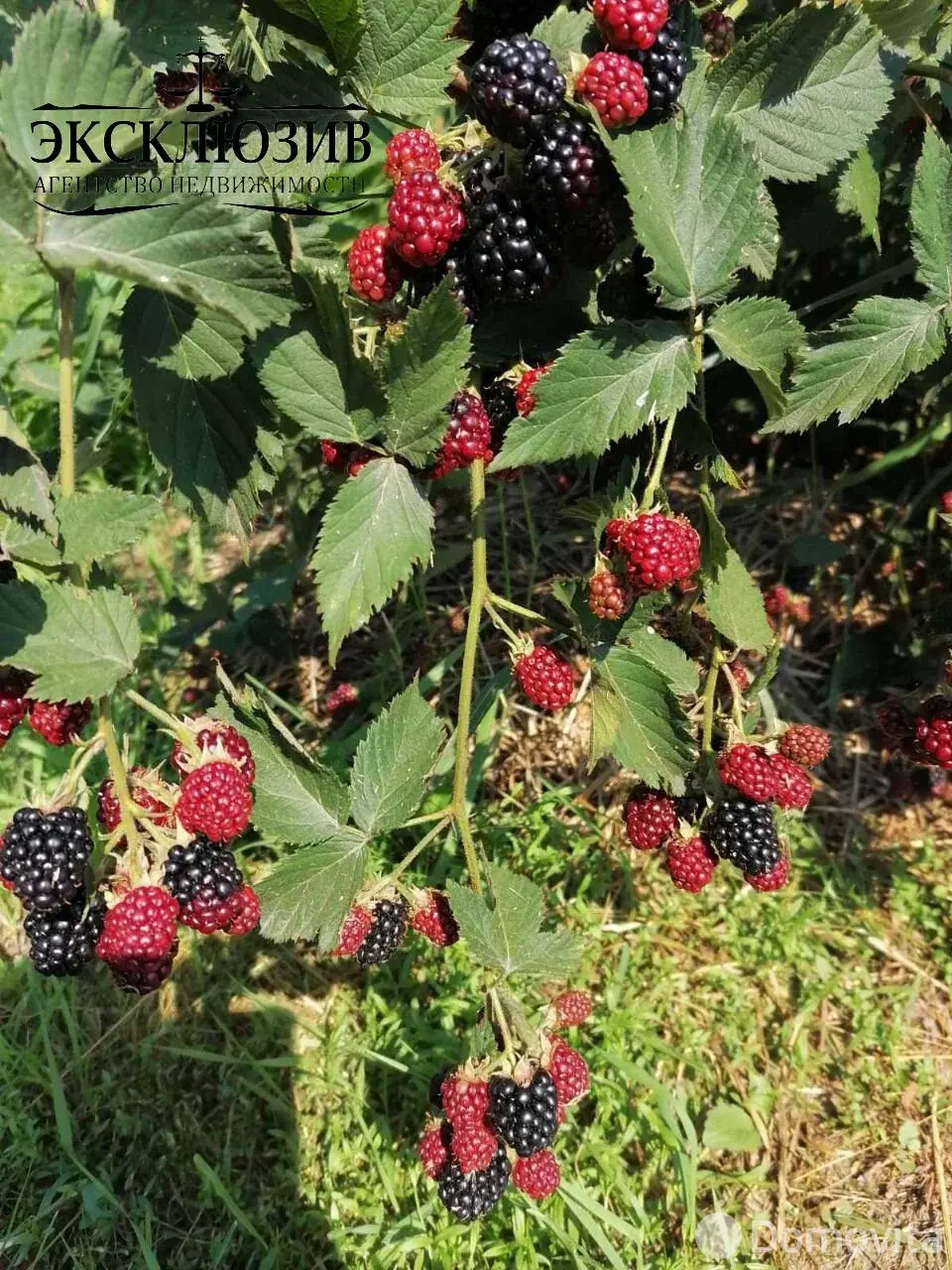 продажа дома, Пытьковка, ул. Дорожная, д. 18