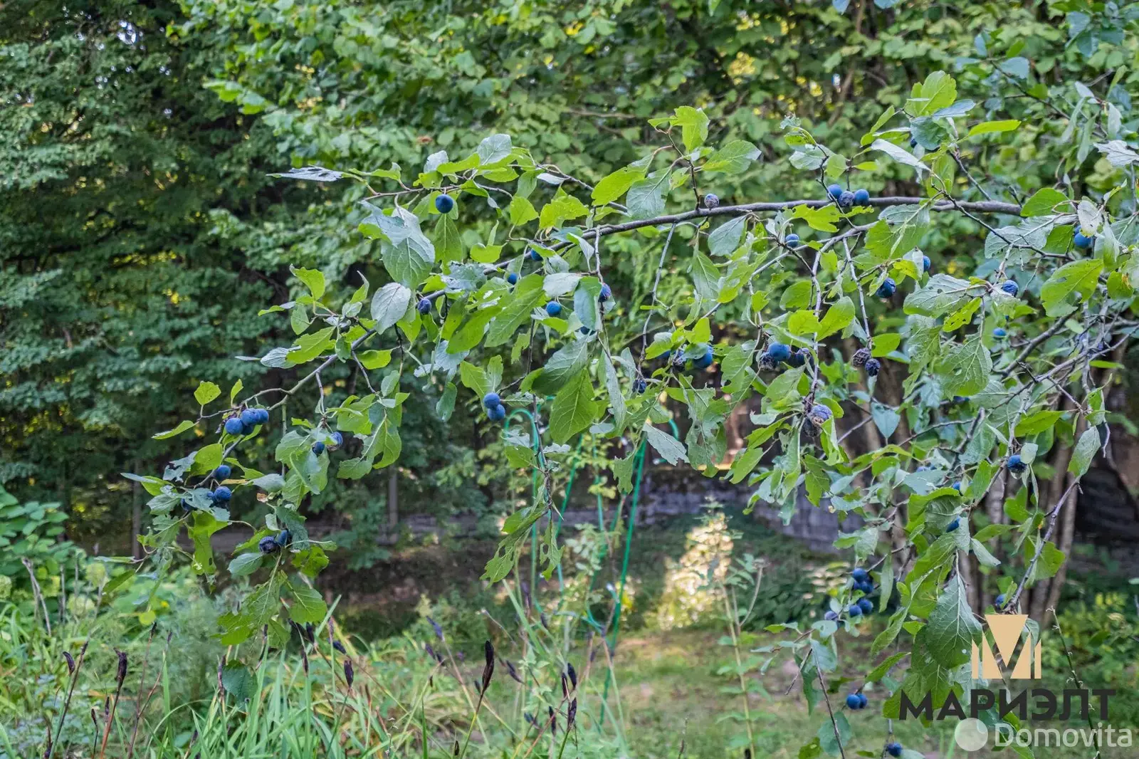 Купить земельный участок, 15 соток, ЯСЕВИЧИ, Минская область, 35000USD, код 570229 - фото 20