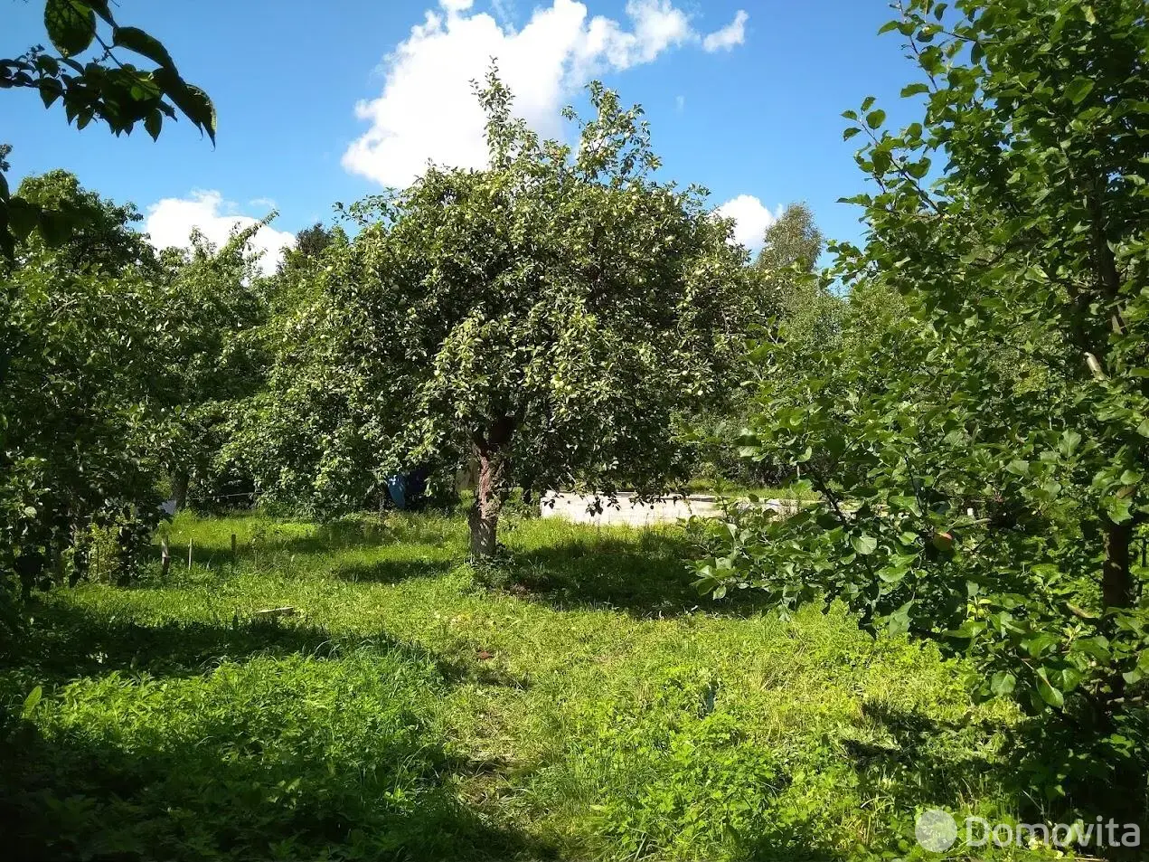купить дом, Новосады, ул. Центральная, д. 71