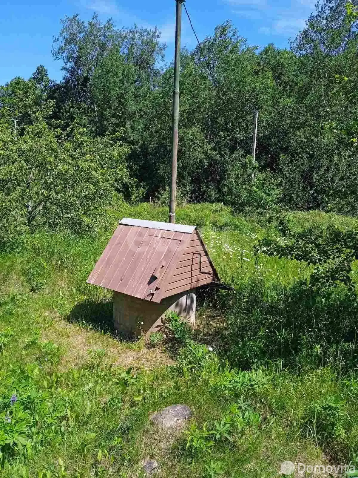 дача, Борщевник, 