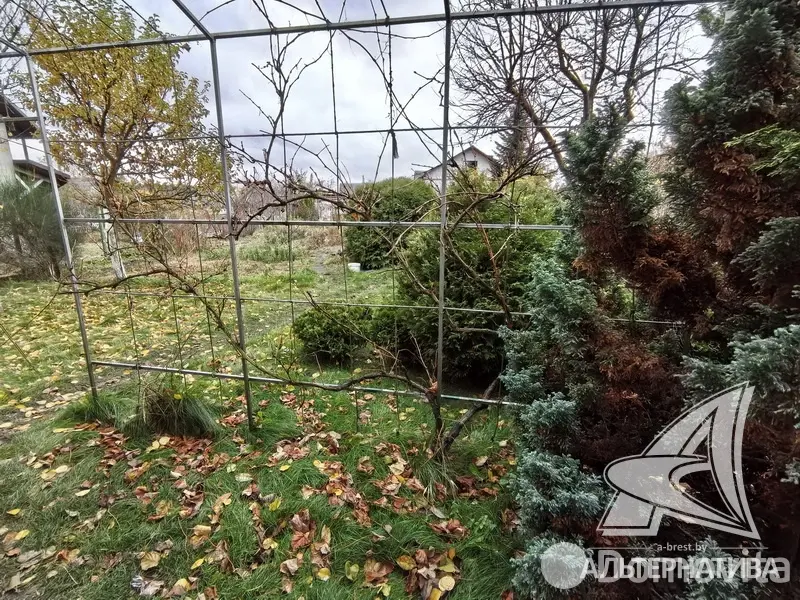 Продажа 1-этажной дачи в Машиностроитель Брестская область, 42000USD, код 184448 - фото 22