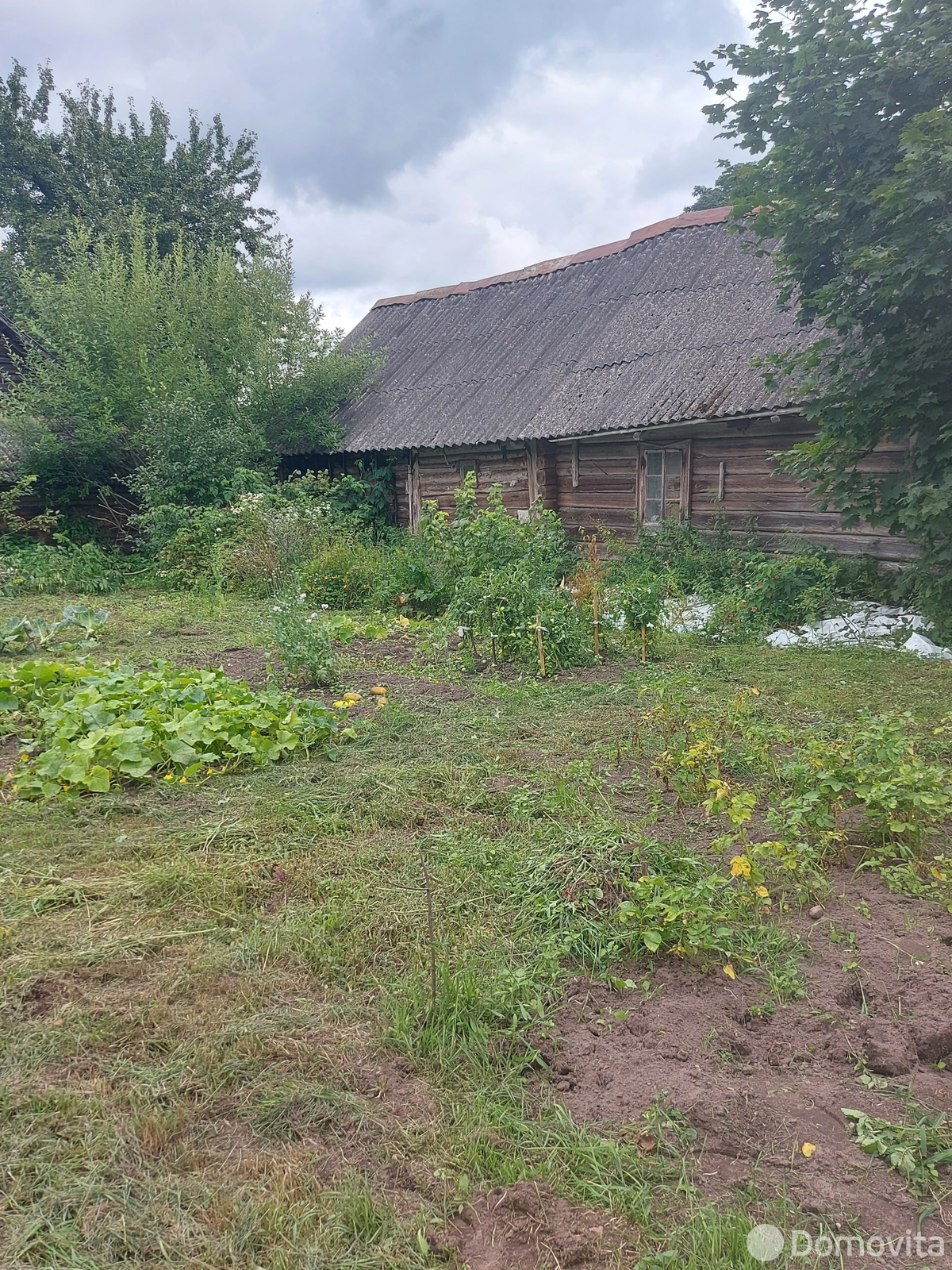 Цена продажи дома, Митиненты, 