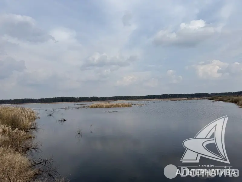 Купить складское помещение в Гусаке - фото 14