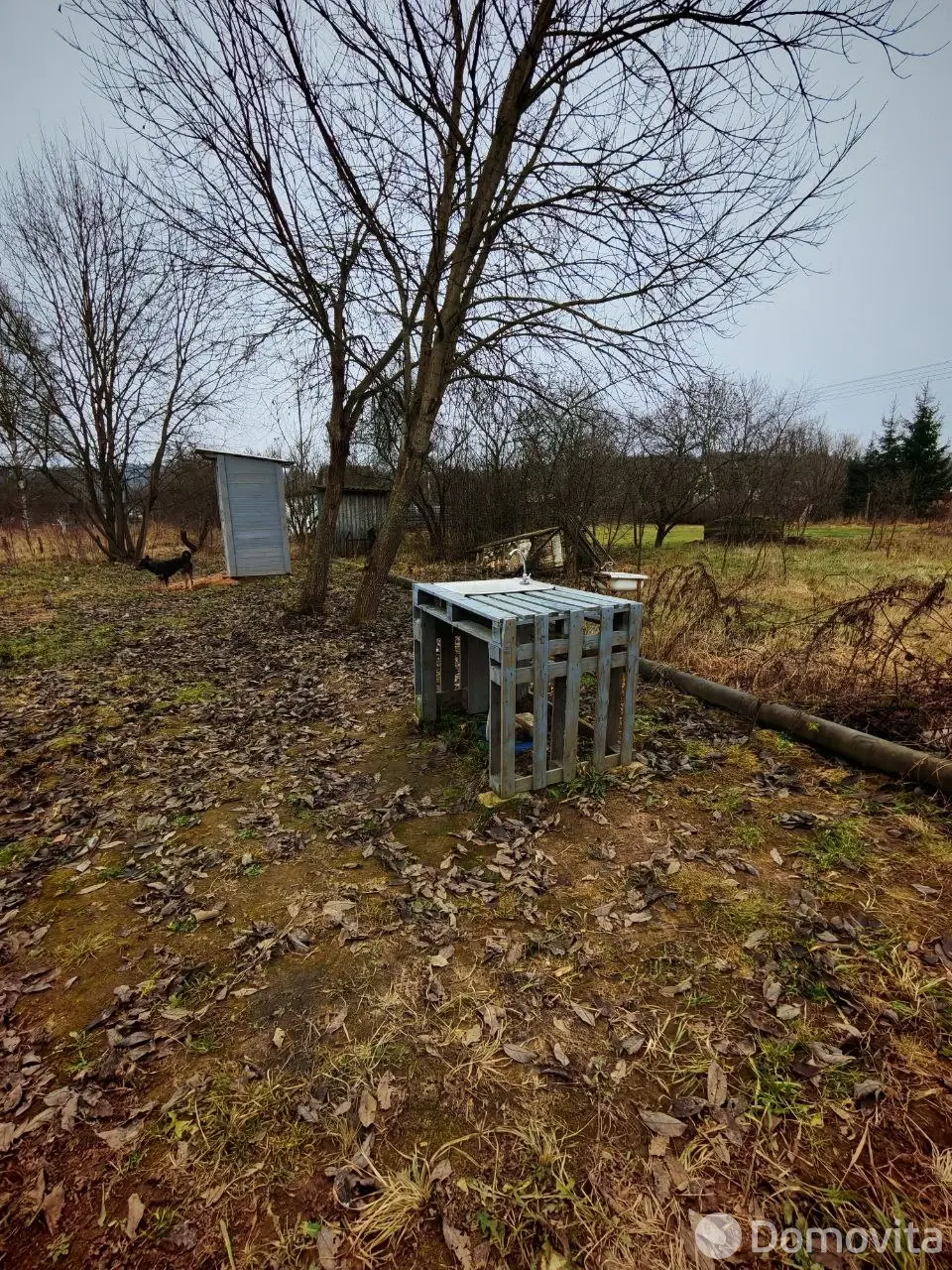 Продажа 1-этажной дачи в Свислочь Минская область, 11000USD, код 184662 - фото 23