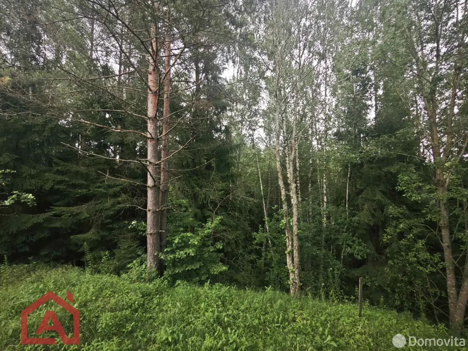 Стоимость продажи участка, Мончаки, ул. Лесная