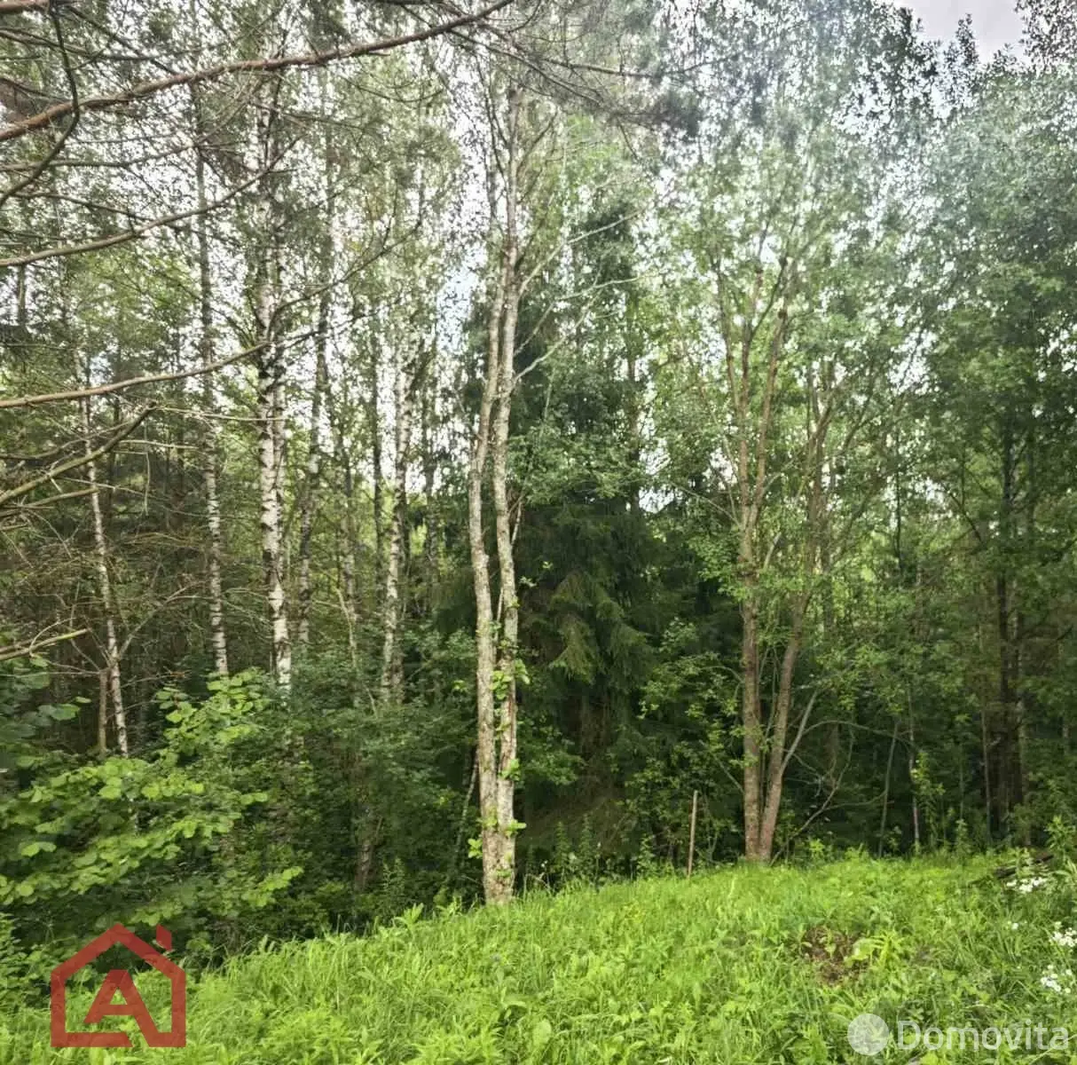 Купить земельный участок, 15 соток, Мончаки, Минская область, 89000USD, код 570778 - фото 26