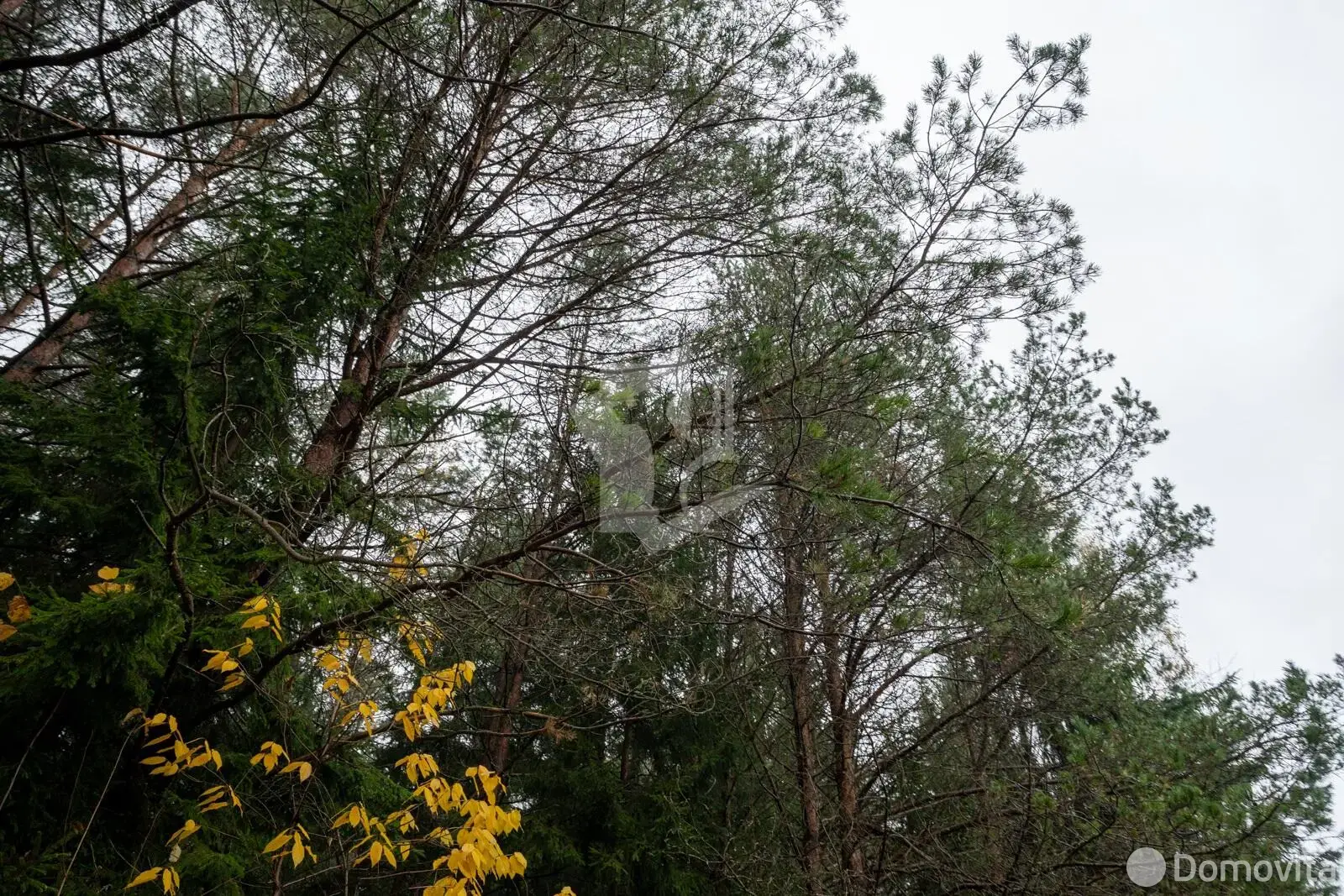 Купить 2-этажную дачу в Зеленый дол Минская область, 55000USD, код 184620 - фото 34