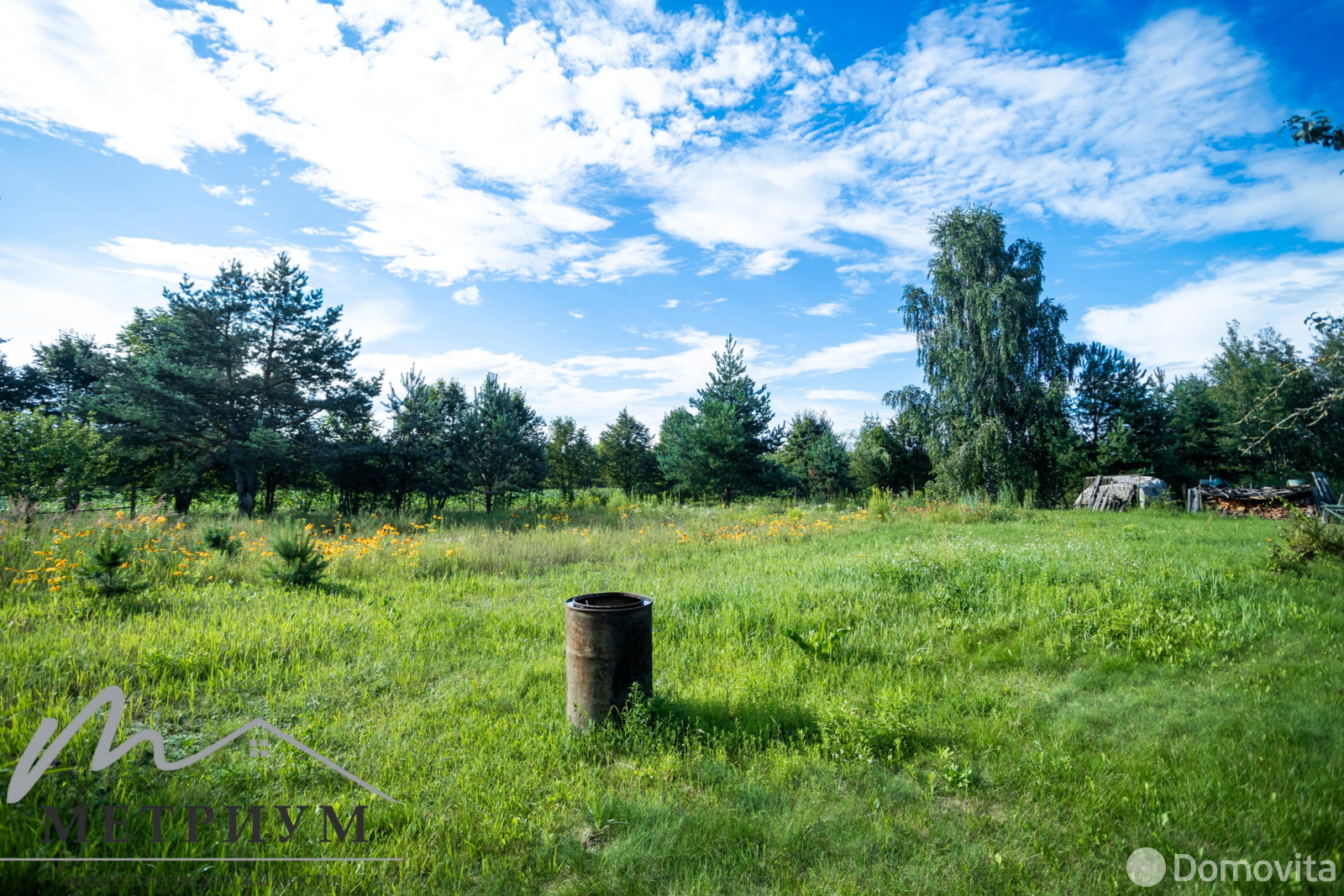 Купить земельный участок, 20 соток, Шипяны, Минская область, 30000USD, код 570775 - фото 18