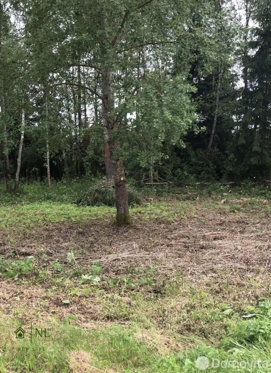 Купить земельный участок, 6 соток, Зеленый Остров, Минская область, 9000USD, код 570612 - фото 11