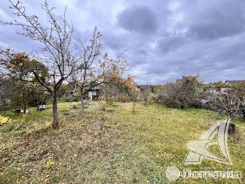 Купить земельный участок, 4.99 соток, Турист-2, Брестская область, 12500USD, код 571129 - фото 12