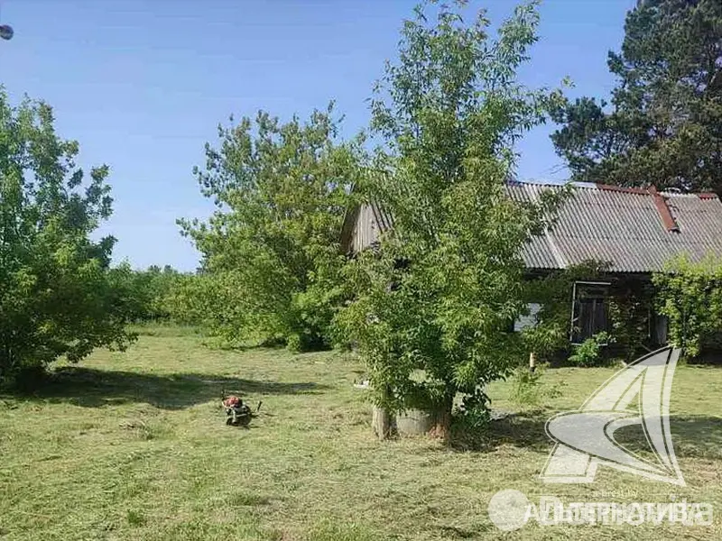 Цена продажи коттеджа, Томашовка, 