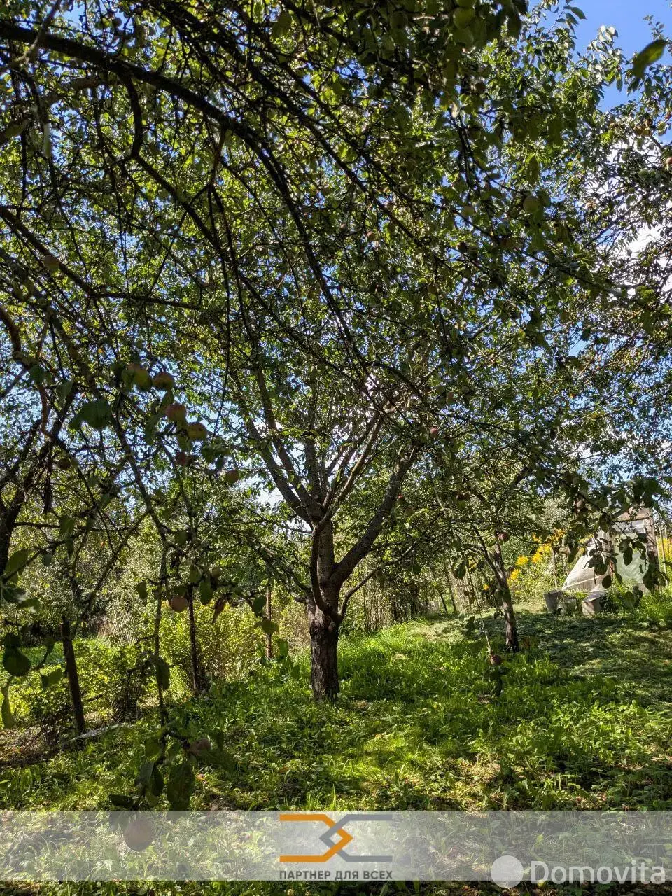 дом, Новый Двор, 