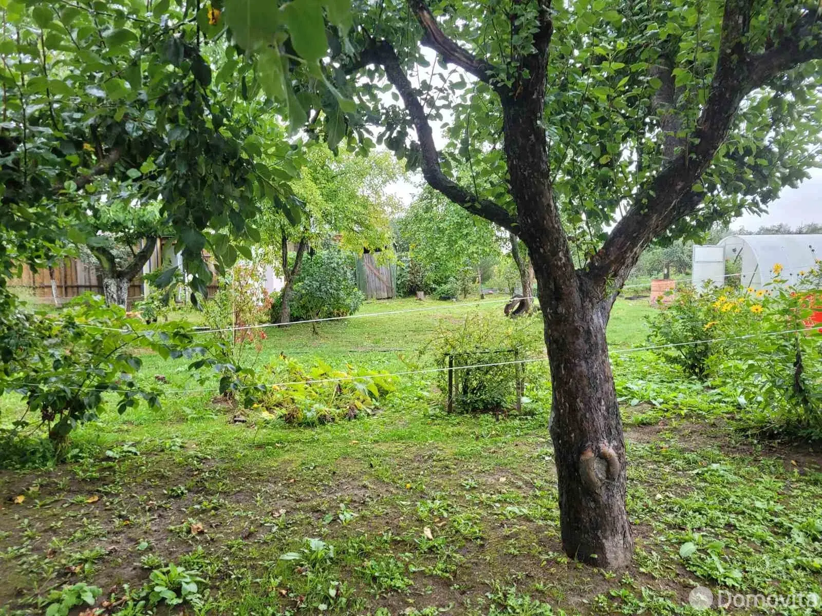 коттедж, Белица, 