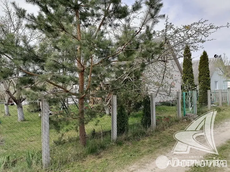 Купить 2-этажную дачу в Балагое Брестская область, 20000USD, код 162025 - фото 22