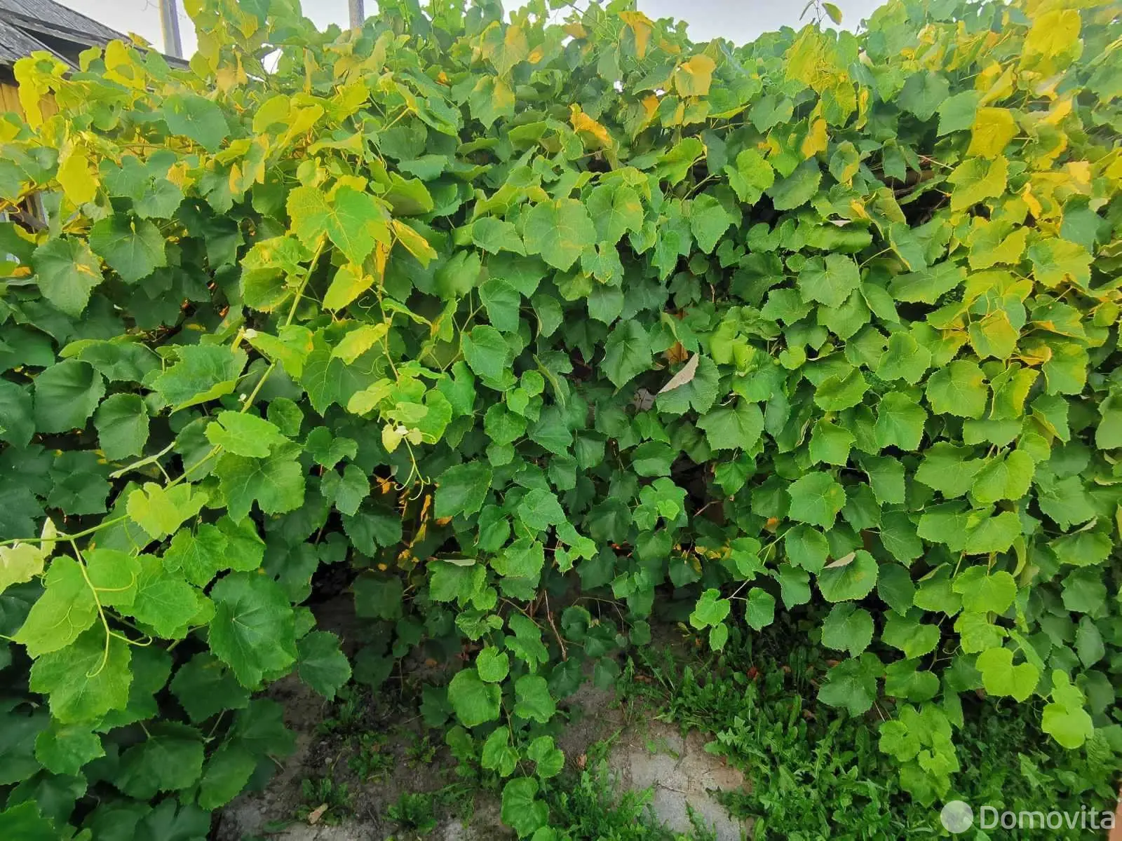 коттедж, Скидель, ул. Заслонова