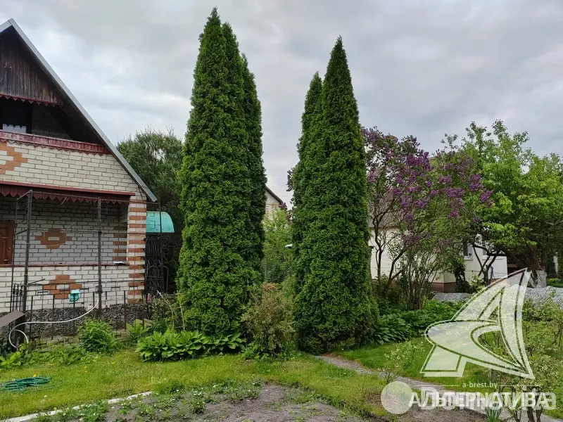 Продажа 2-этажной дачи в Жемчужина-1988 Брестская область, 88000BYN, код 185911 - фото 22