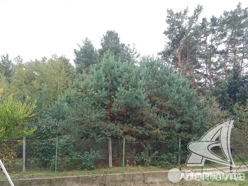 Купить 2-этажную дачу в Мара Брестская область, 31500USD, код 185101 - фото 20