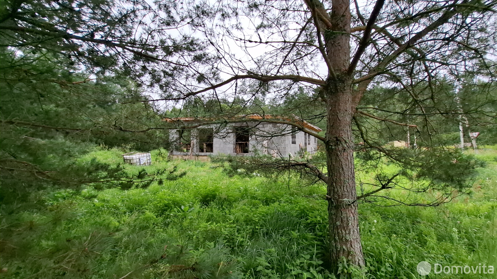 участок, Молоди, 