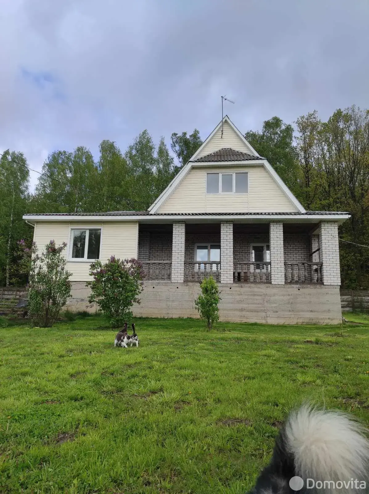 дом, Новая Веска, ул. Центральная