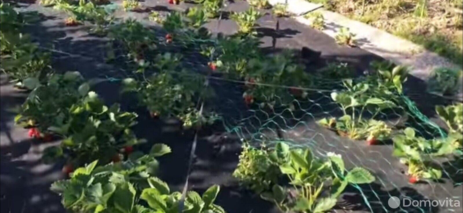 Купить земельный участок, 10.11 соток, Амкодор-1, Минская область, 9900USD, код 567139 - фото 11