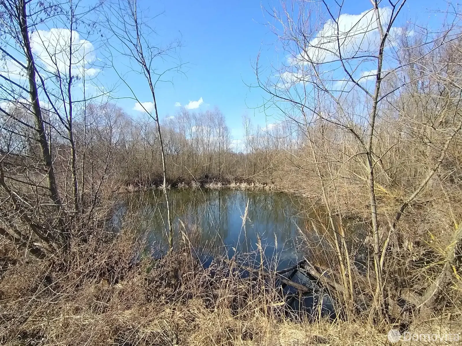 дом, Луговая Вирня, ул. Лесная 