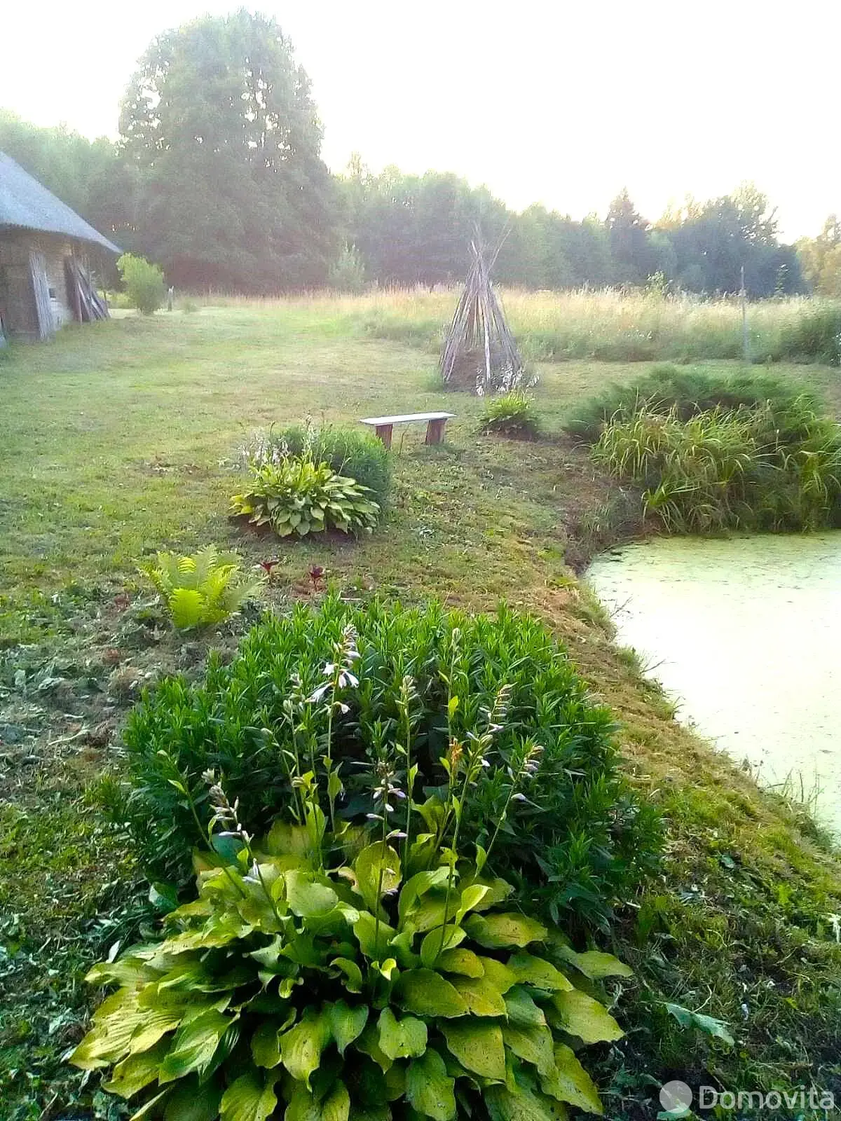продажа дома, Довъяты Большие, 