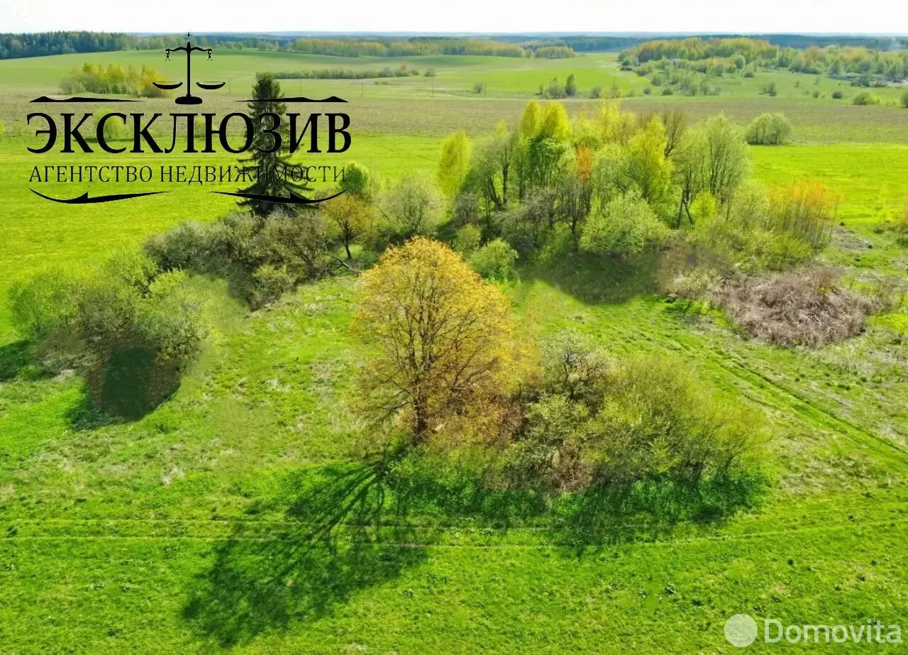Купить земельный участок, 25 соток, Гиревичи, Минская область, 140000BYN, код 572180 - фото 4