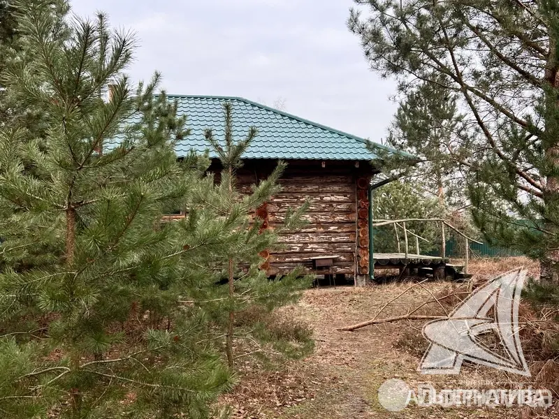 Купить 1-этажную дачу в Алеся-50 Брестская область, 31900USD, код 181350 - фото 21