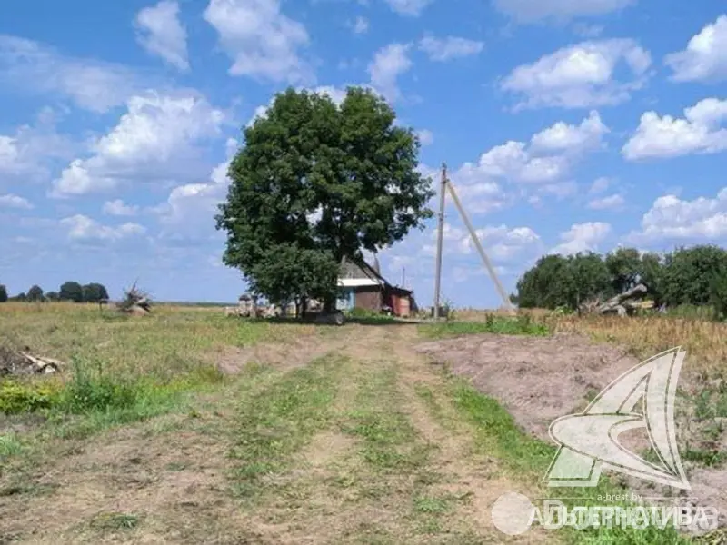 Стоимость продажи участка, Лыщицы, 