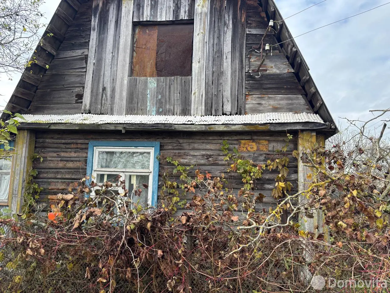 дача, Шарик,