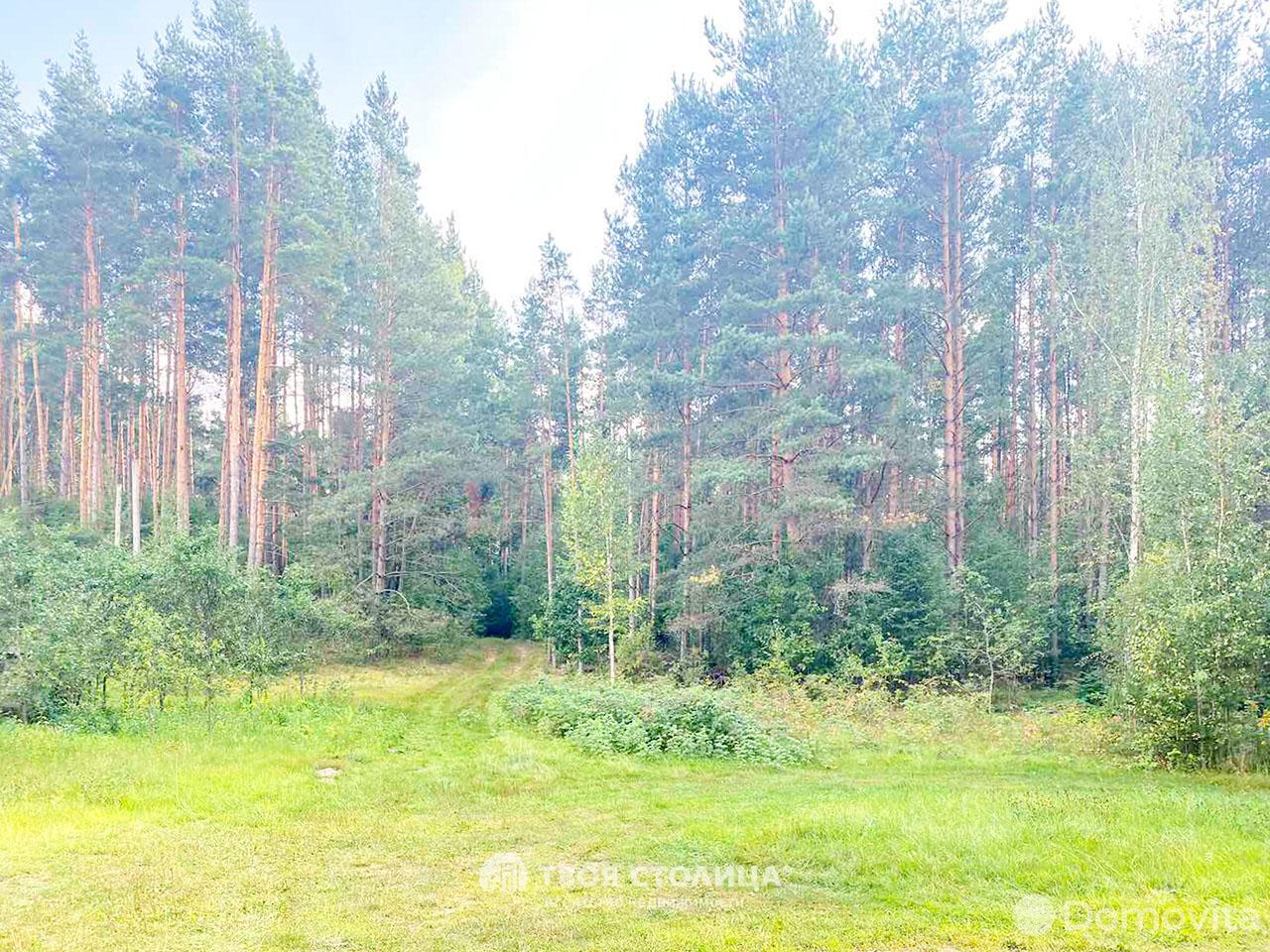 Купить 1-этажную дачу в Гуте Минская область, 7000USD, код 175759 - фото 18