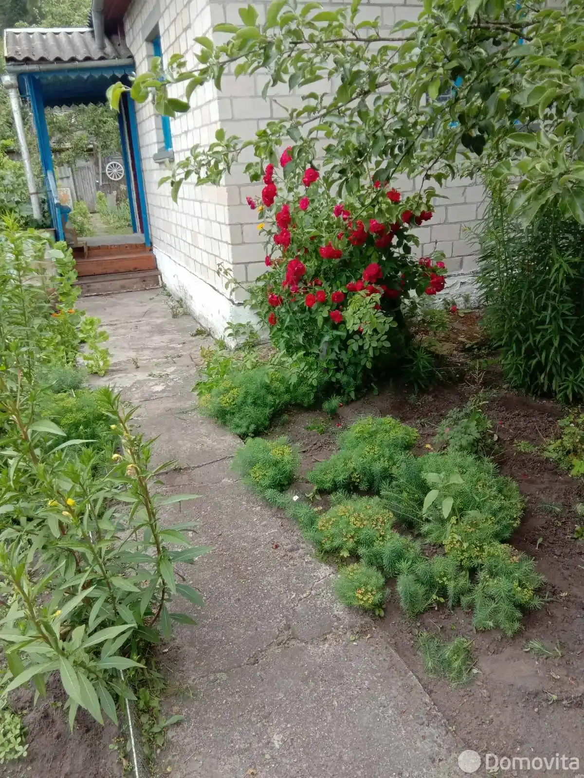 продажа дачи, Лесино,