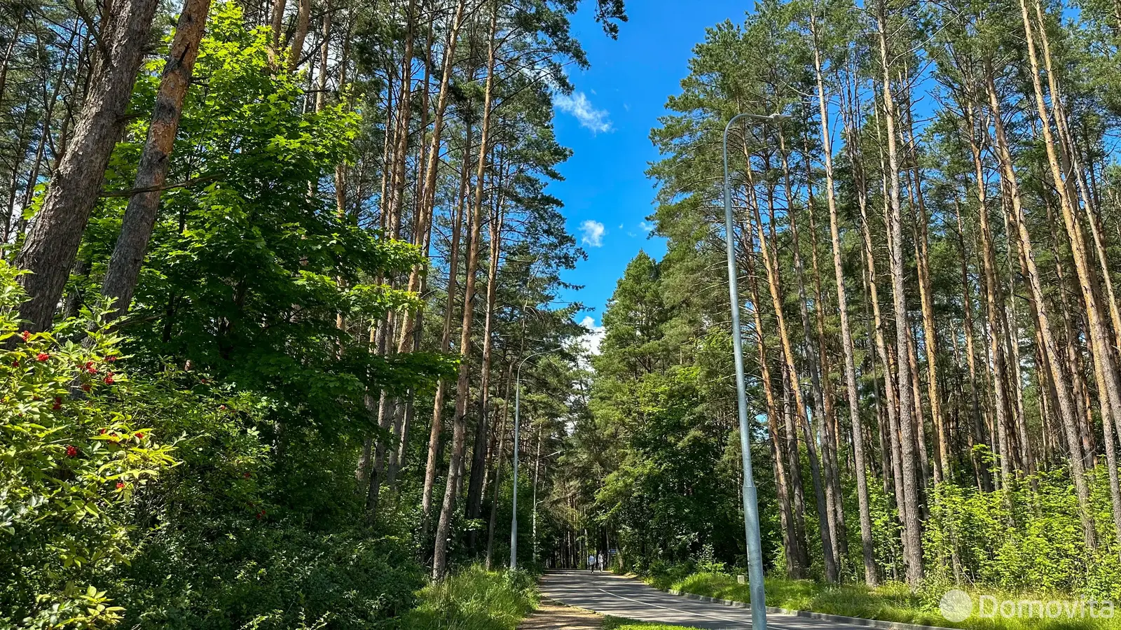 Купить земельный участок, 11.86 соток, Ждановичи, Минская область, 95000USD, код 570616 - фото 21