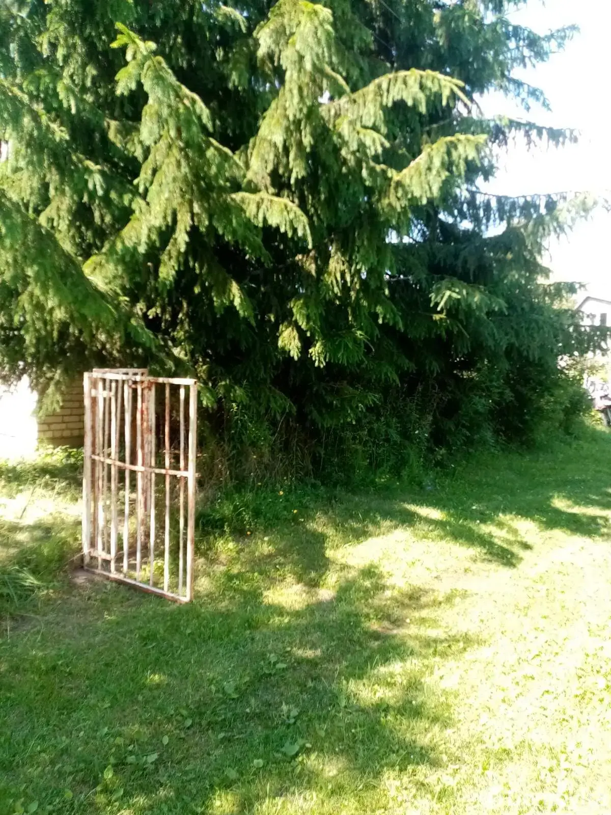 участок, Асвета, 