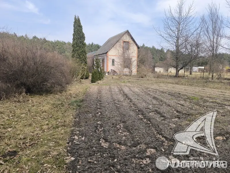 Купить 2-этажную дачу в Буг Жабинковского района Брестская область, 15000EUR, код 181980 - фото 20