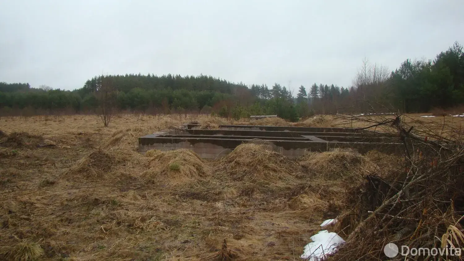 участок, Суринты,