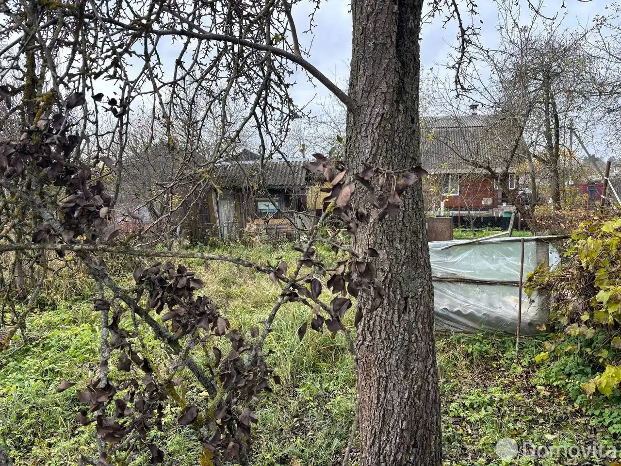 дача, Шарик,