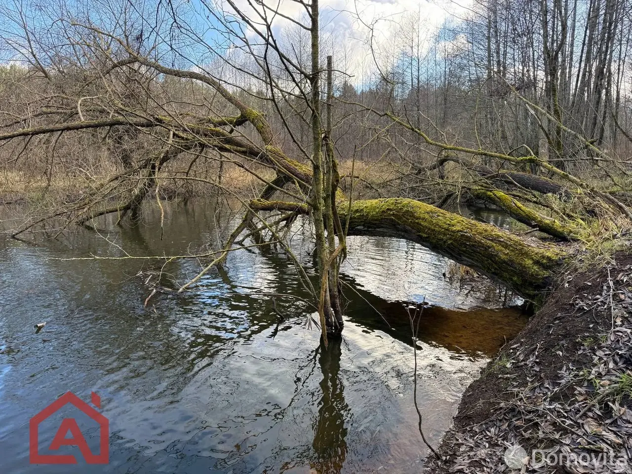 Купить земельный участок, 25 соток, Приселки, Минская область, 33000USD, код 571253 - фото 38